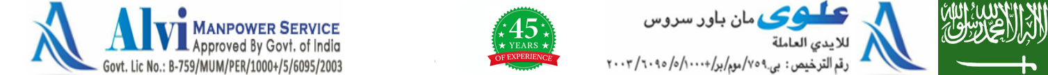 AlviManpowerService